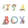 It's A Boy Animal Alphabet Confetti-exploding Greetings Card