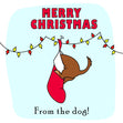 Merry Christmas Dog In A Stocking Confetti-exploding Greetings Card