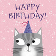 Tabby Cat Birthday Confetti-exploding Greetings Card