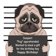 Suspected Pug Happy Birthday Confetti-exploding Greetings Card