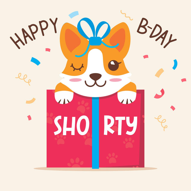 Cute Corgi Happy Birthday Shorty Confetti-exploding Greetings Card