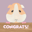 Congrats Cute Guinea Pig Confetti-exploding Greetings Card