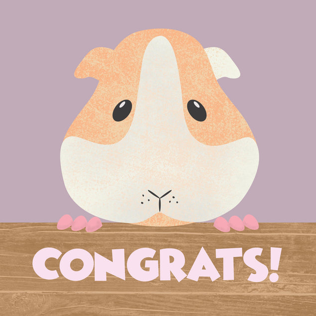 Congrats Cute Guinea Pig Confetti-exploding Greetings Card