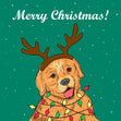 Golden Retriever Merry Christmas Confetti-exploding Greetings Card