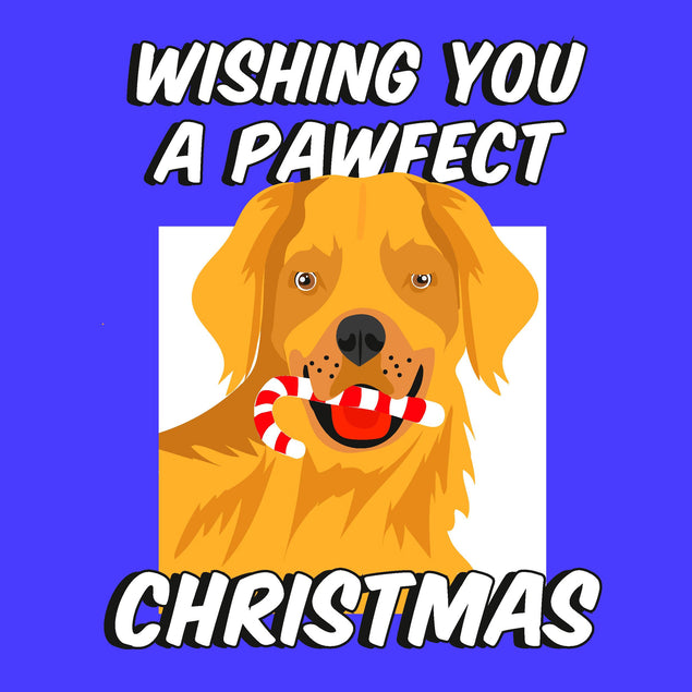 Wishing You A Pawfect Christmas Golden Retriever With Candy Cane Confetti-exploding Greetings Card