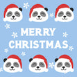 Blue Background Panda Merry Christmas Confetti-exploding Greetings Card