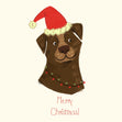 Merry Christmas Brown Dog Wearing Santa Hat Confetti-exploding Greetings Card