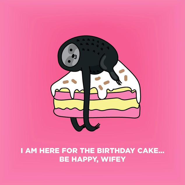 Happy Birthday Wifey Sloth Lying On A Pink Cake Confetti-exploding Greetings Card