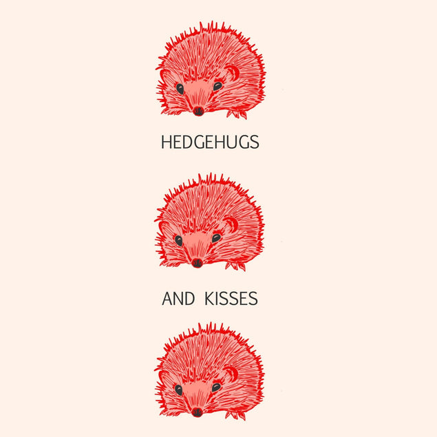 Hedgehugs Confetti-exploding Greetings Card