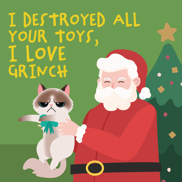 I Destroyed All Your Toys Ragdoll Cat Christmas Confetti-exploding Greetings Card