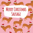 Merry Christmas Sausage Dachshund Confetti-exploding Greetings Card