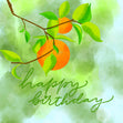 Oranges On A Branch Happy Birthday Confetti-exploding Greetings Card