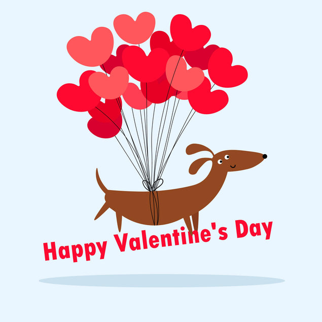 Happy Valentine's Day Dachshund And Balloons Confetti-exploding Greetings Card
