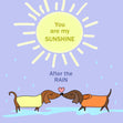 You Are My Sunshine After The Rain Valentine's Day Confetti-exploding Greetings Card