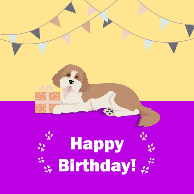 Cute Cavapoo With Gift Happy Birthday Confetti-exploding Greetings Card