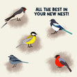 All The Best In Your New Nest Birds New Home Confetti-exploding Greetings Card
