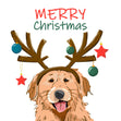 Merry Christmas Smiling Golden Retriever Confetti-exploding Greetings Card