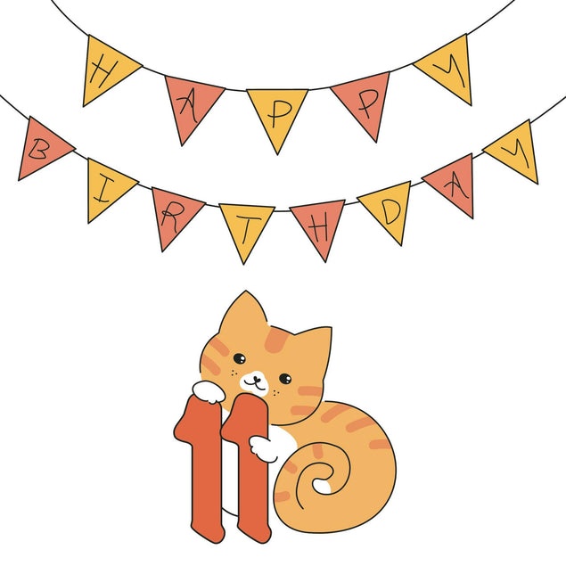 Birthday Cat 11 Confetti-exploding Greetings Card