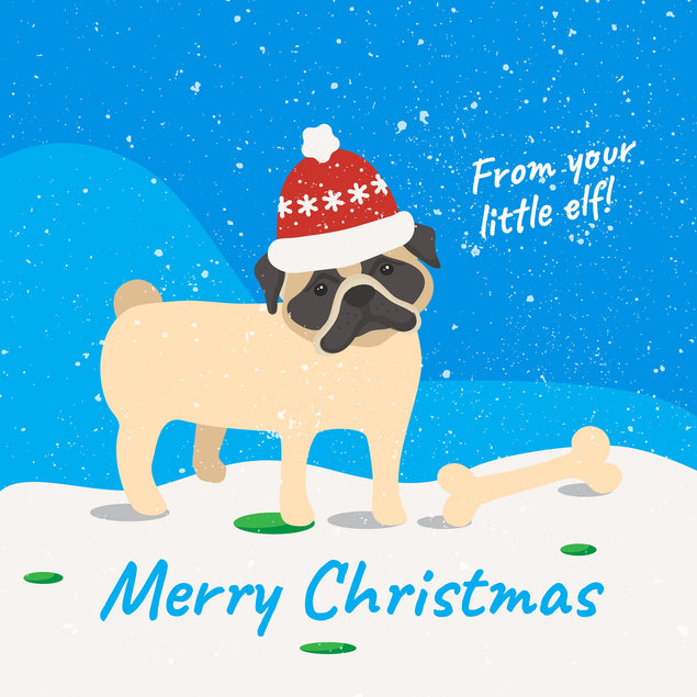 Merry Christmas From Your Little Elf Pug Confetti-exploding Greetings Card