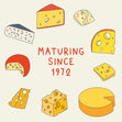 Maturing Since 1972 Cheese Birthday Confetti-exploding Greetings Card
