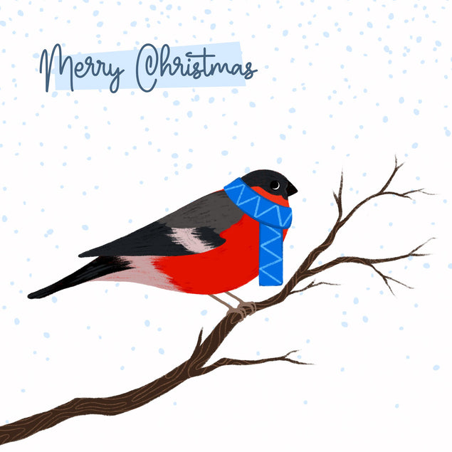 Merry Christmas A Bullfinch On A Robin Confetti-exploding Greetings Card