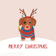 Merry Christmas From Dachshund Confetti-exploding Greetings Card