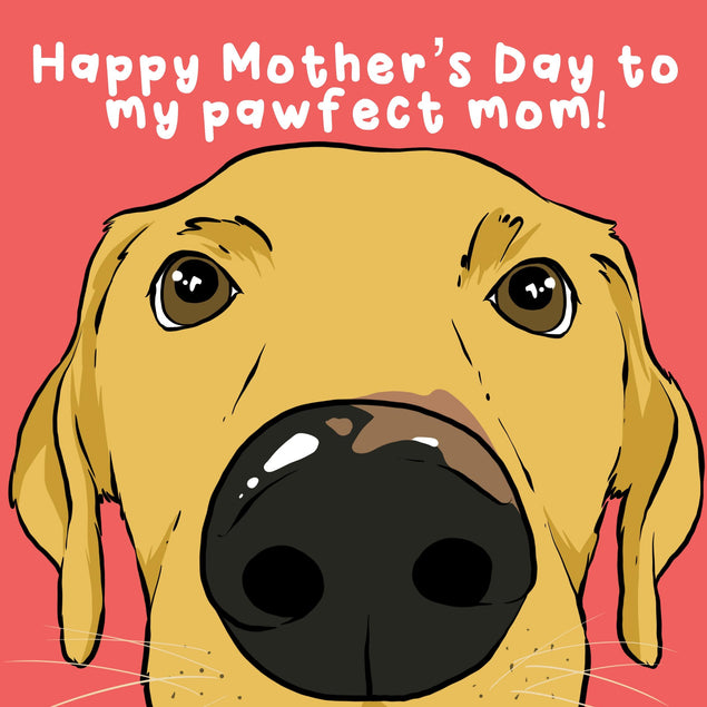 Happy Mother's Day For My Pawfect Mom Confetti-exploding Greetings Card
