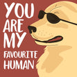 Golden Labrador Wearing Glasses You're My Favourite Human Confetti-exploding Greetings Card