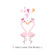 Here Come The Brides Cute Flamingo Couple Wedding Confetti-exploding Greetings Card