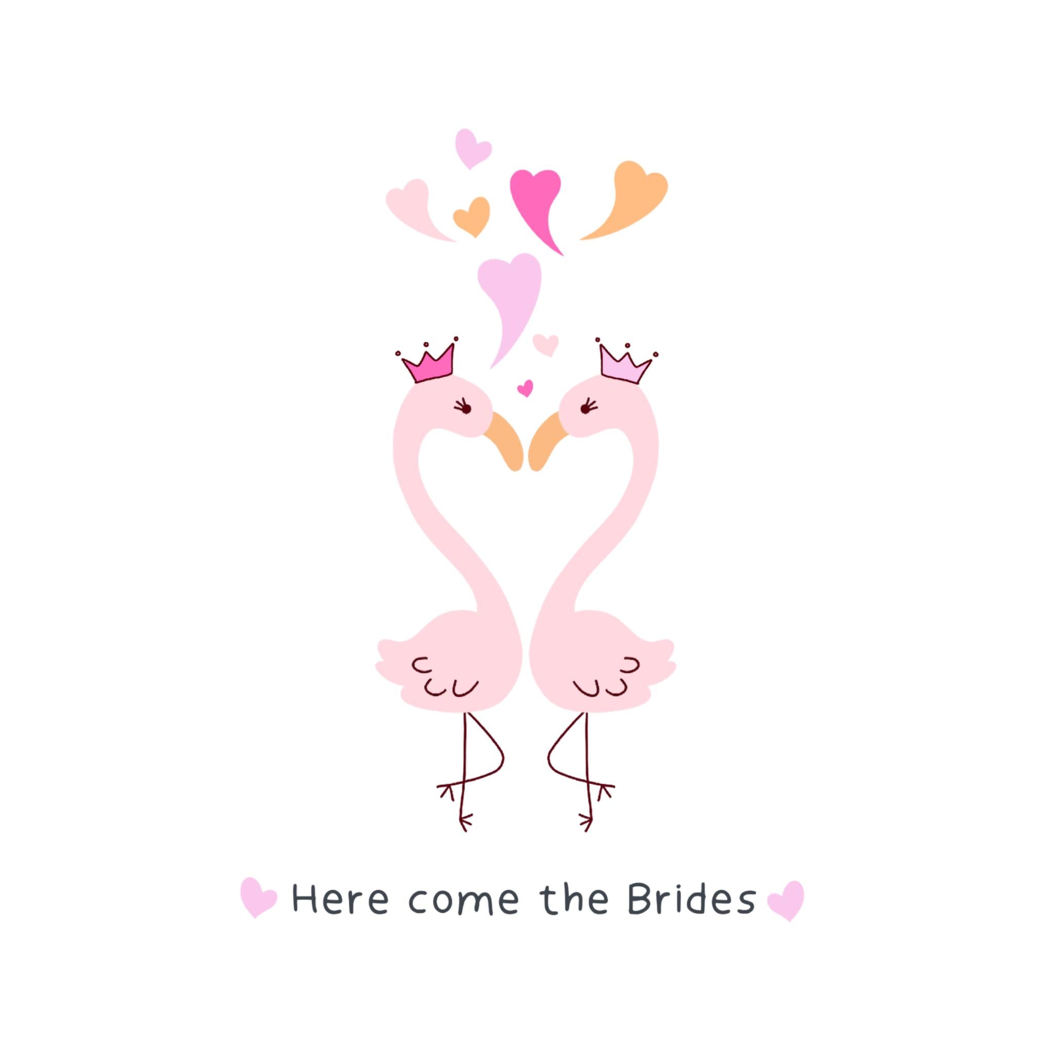 Here Come The Brides Cute Flamingo Couple Wedding Confetti-exploding G ...