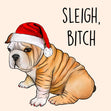 Sleigh, Bitch Shar Pei Christmas Confetti-exploding Greetings Card