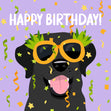 Black Festive Labrador In Glasses Happy Birthday Confetti-exploding Greetings Card