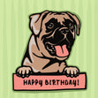 Happy Boxer Dog Happy Birthday Confetti-exploding Greetings Card