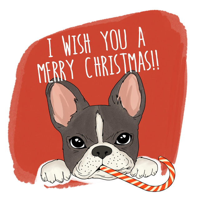 Cute French Bulldog Merry Christmas Confetti-exploding Greetings Card