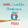 Owl I Want For Christmas Confetti-exploding Greetings Card