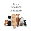 Have A Pawfect Birthday Confetti-exploding Greetings Card