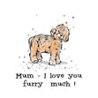Mum, I Love You Furry Much Mother's Day Confetti-exploding Greetings Card