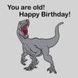 Happy Birthday You Are Old Grey Dino Confetti-exploding Greetings Card