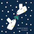 Cute Doves Mistletoe Christmas Confetti-exploding Greetings Card
