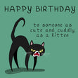 Angry Kitten Birthday Confetti-exploding Greetings Card