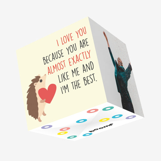 I Love You Because You Are Almost Exactly Like Me Cute Hedgehog Valentine's Day Confetti-exploding Greetings Card