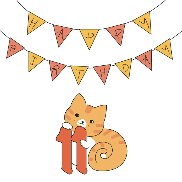 Birthday Cat 11 Card