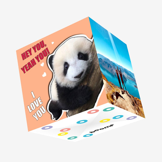 Panda I Love You Valentine's Confetti-exploding Greetings Card