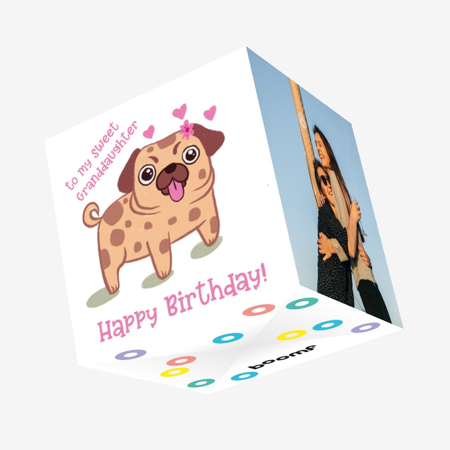 Pink Cute Pug Happy Birthday Granddaughter Confetti-exploding Greetings Card