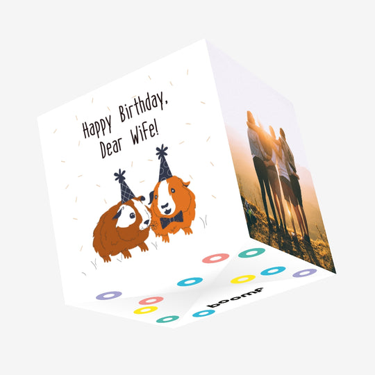 Cute Guinea Pigs Happy Birthday Wife Confetti-exploding Greetings Card