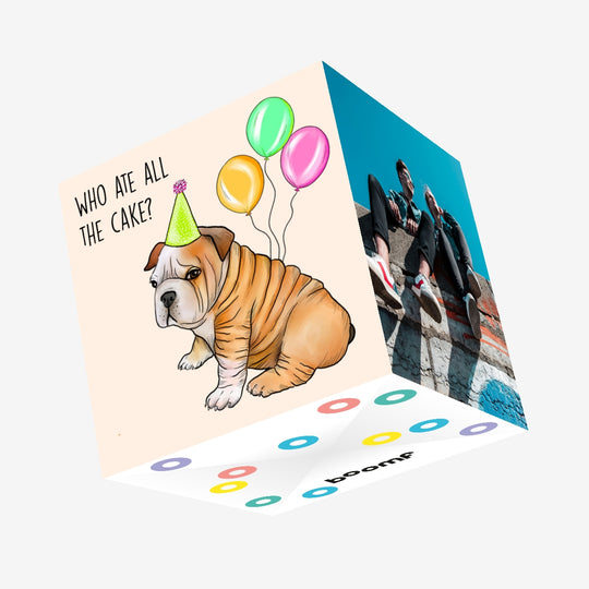 Who Ate All The Cake Shar Pei Confetti-exploding Greetings Card