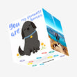 Black Labrador You're My Favourite Human Confetti-exploding Greetings Card