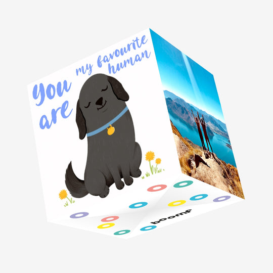 Black Labrador You're My Favourite Human Confetti-exploding Greetings Card
