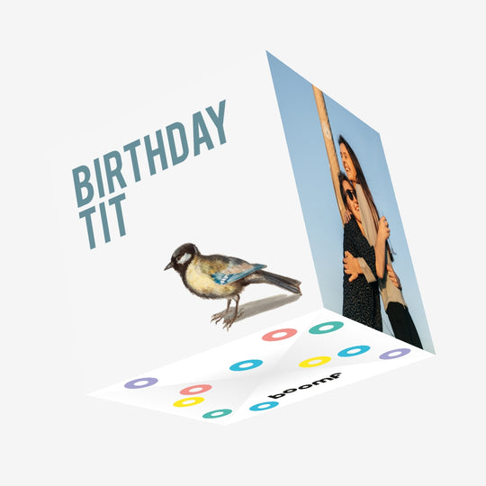 Rude Bird Birthday Tit Confetti-exploding Greetings Card