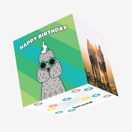 Cool Poodle Dog Birthday Confetti-exploding Greetings Card